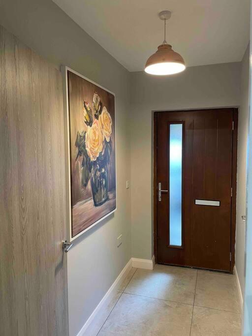 Close To Belfast City Centre.Modern Opened Planned Exteriör bild