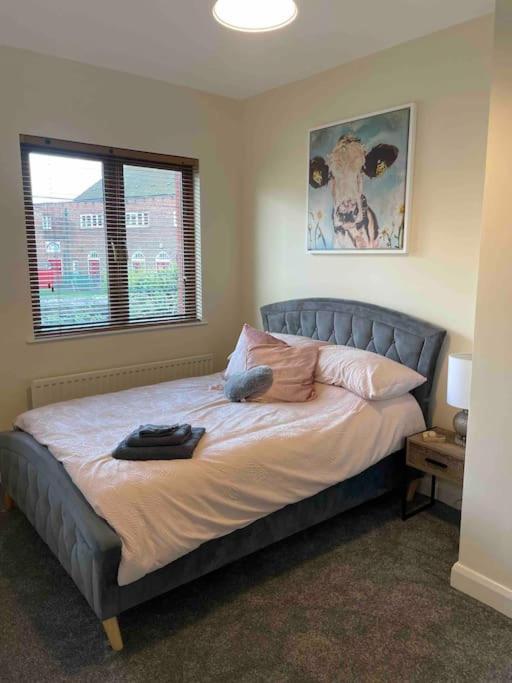 Close To Belfast City Centre.Modern Opened Planned Exteriör bild